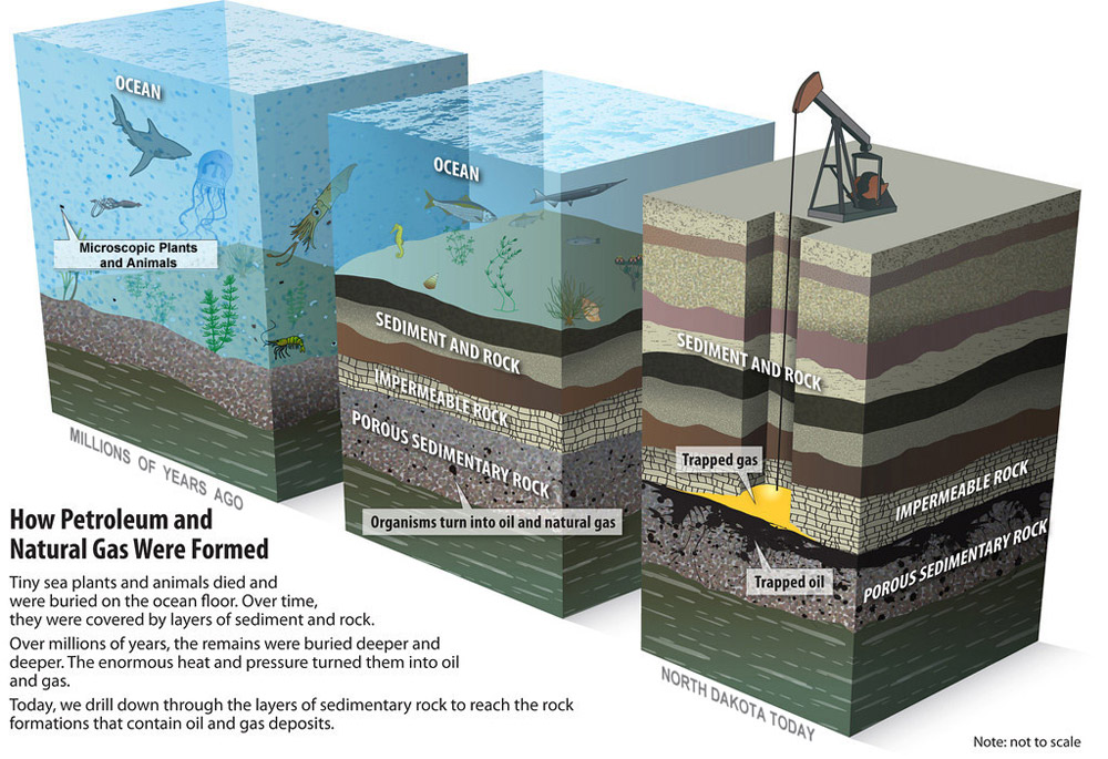 How Petroleum Formed