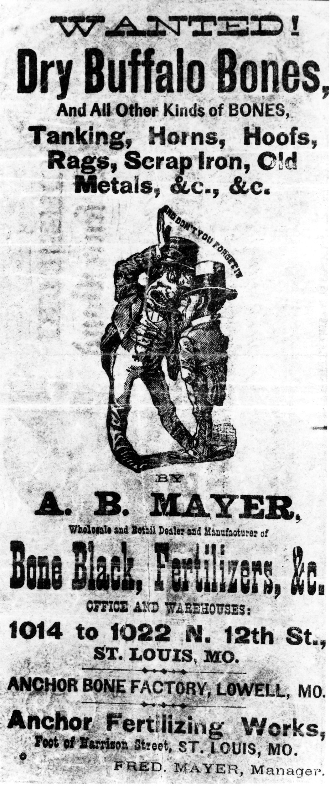 Newspaper Ad for Buffalo bones