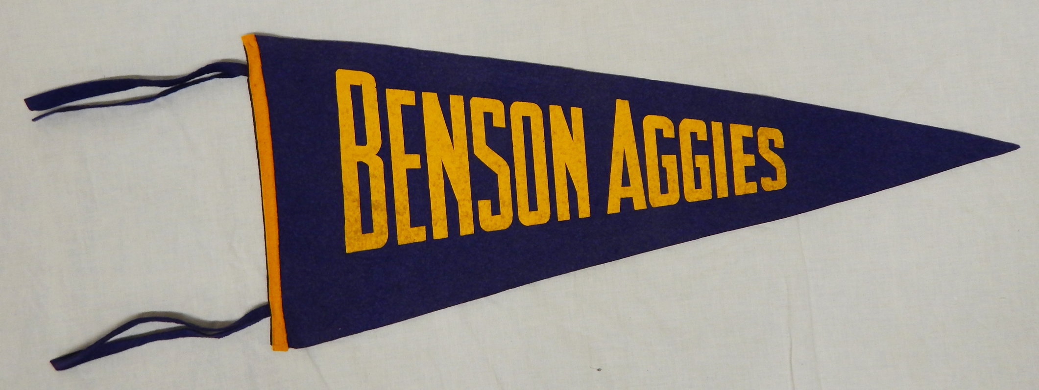 Benson county ag and training school