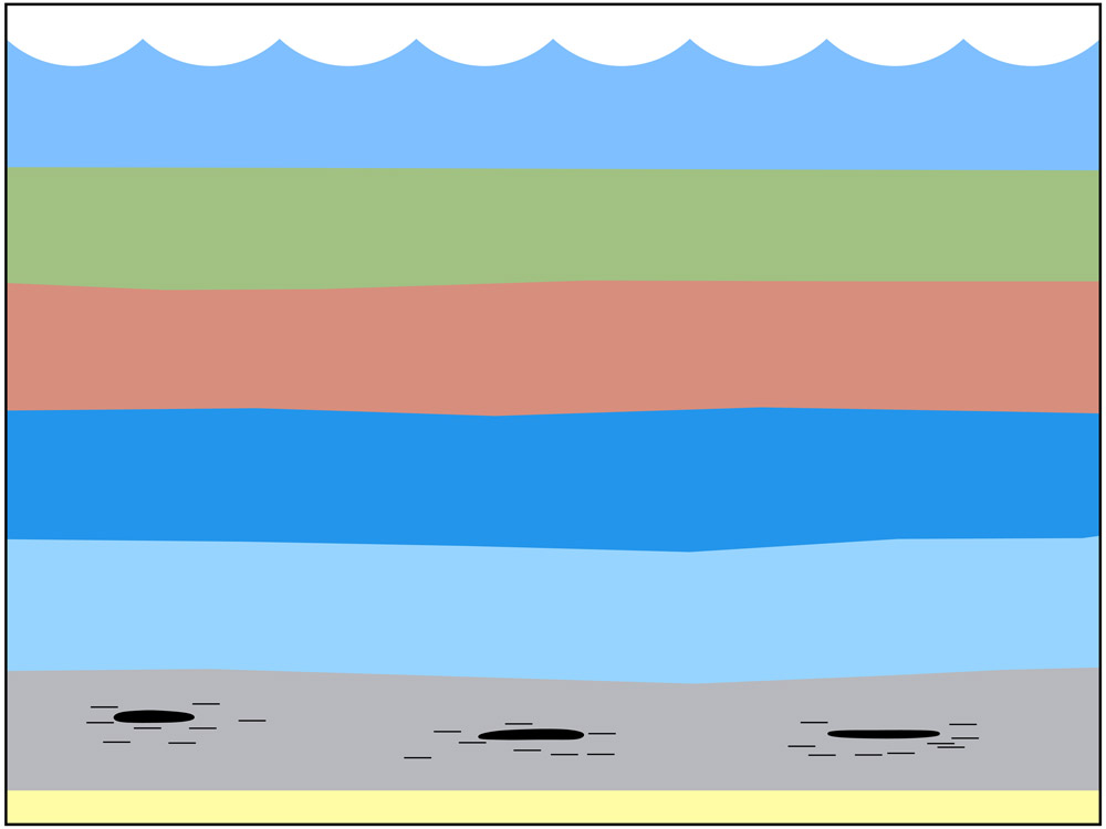 <span class='figure-reader-id'>Stage 6</span> The pieces of sediment were pressed together and formed <strong>sedimentary rocks.</strong>