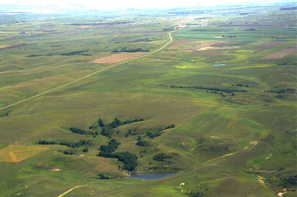 Photo of site after reclamation.