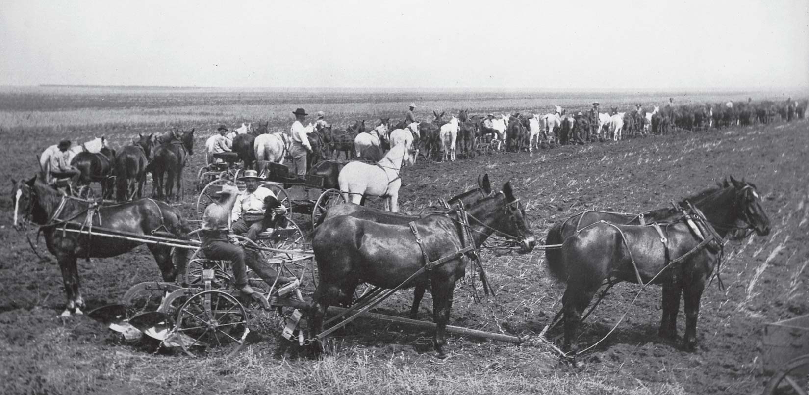 <strong>Figure 38. Amenia and Sharon Land Company,</strong> Cass County, North Dakota. <em>(Institute for Regional Studies, NDSU, 0005.05.01)</em>