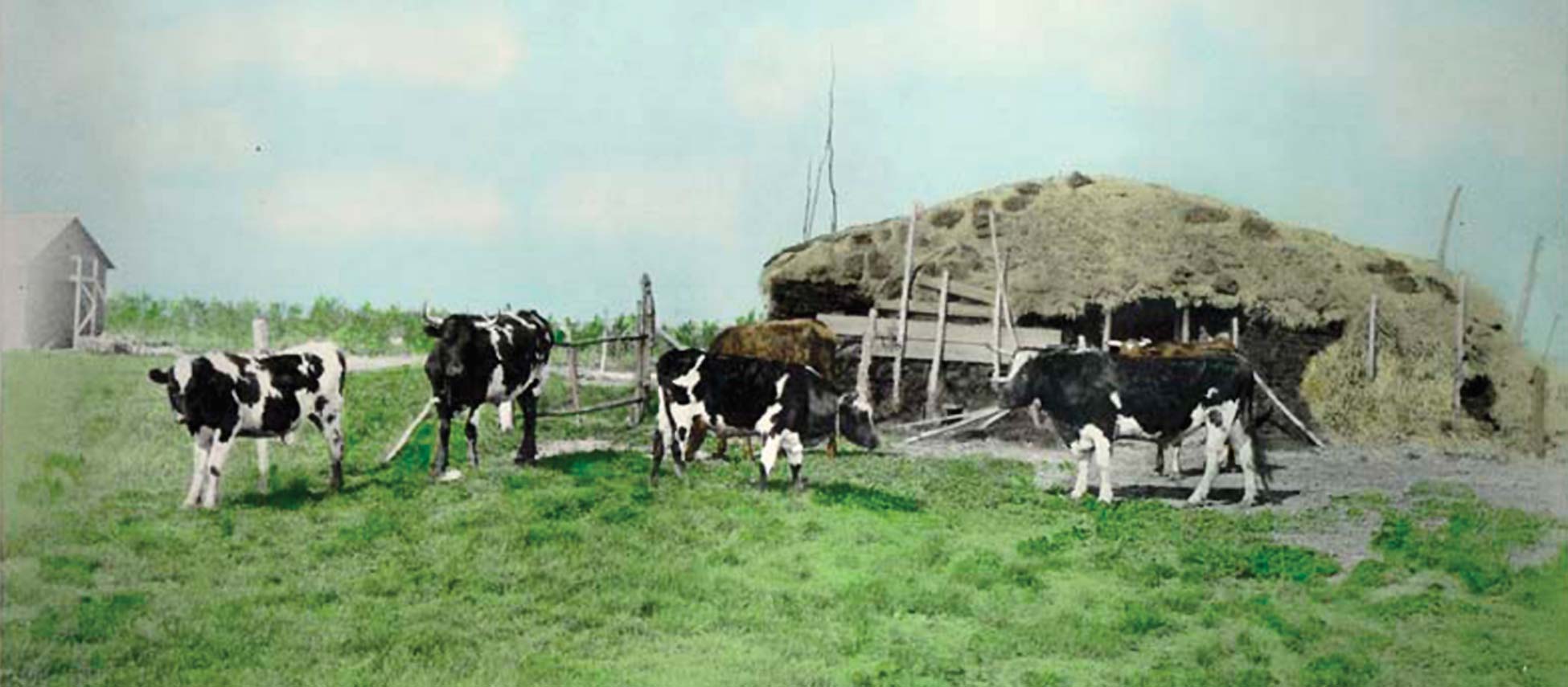 This sod barn