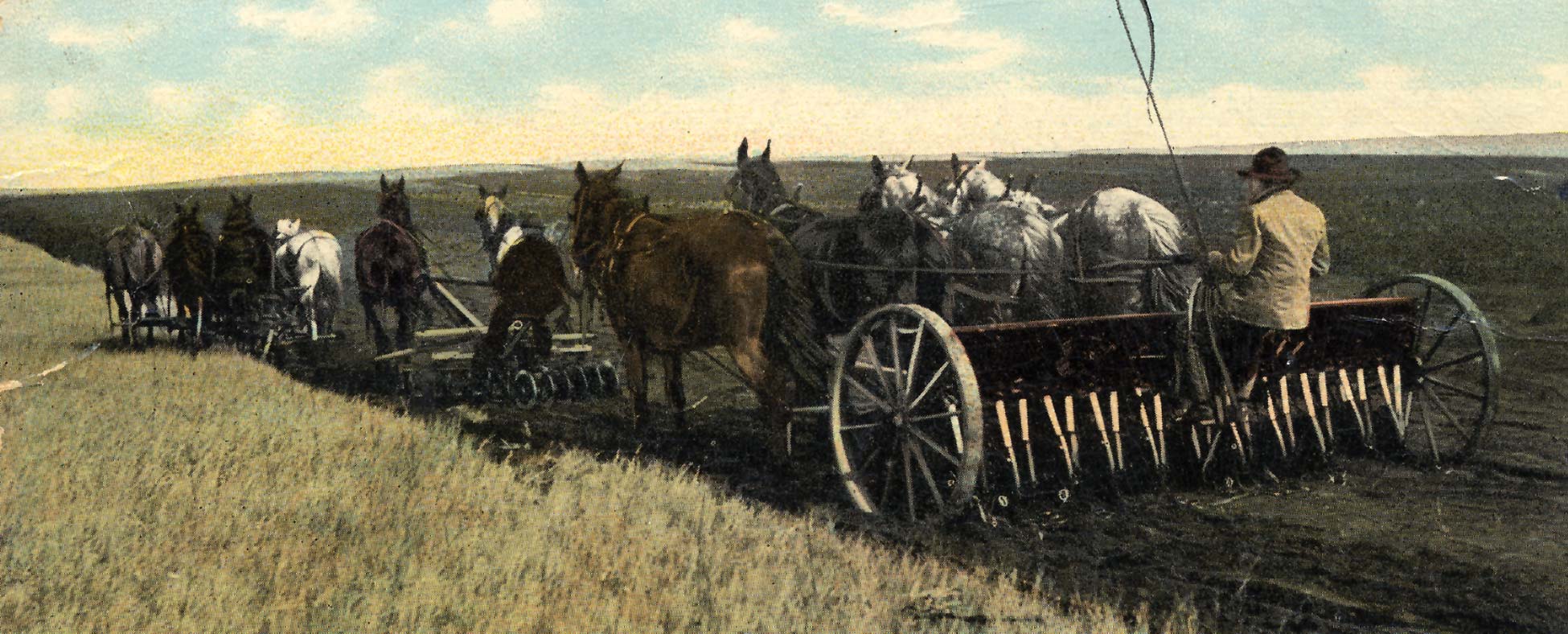 Seeding a field of wheat