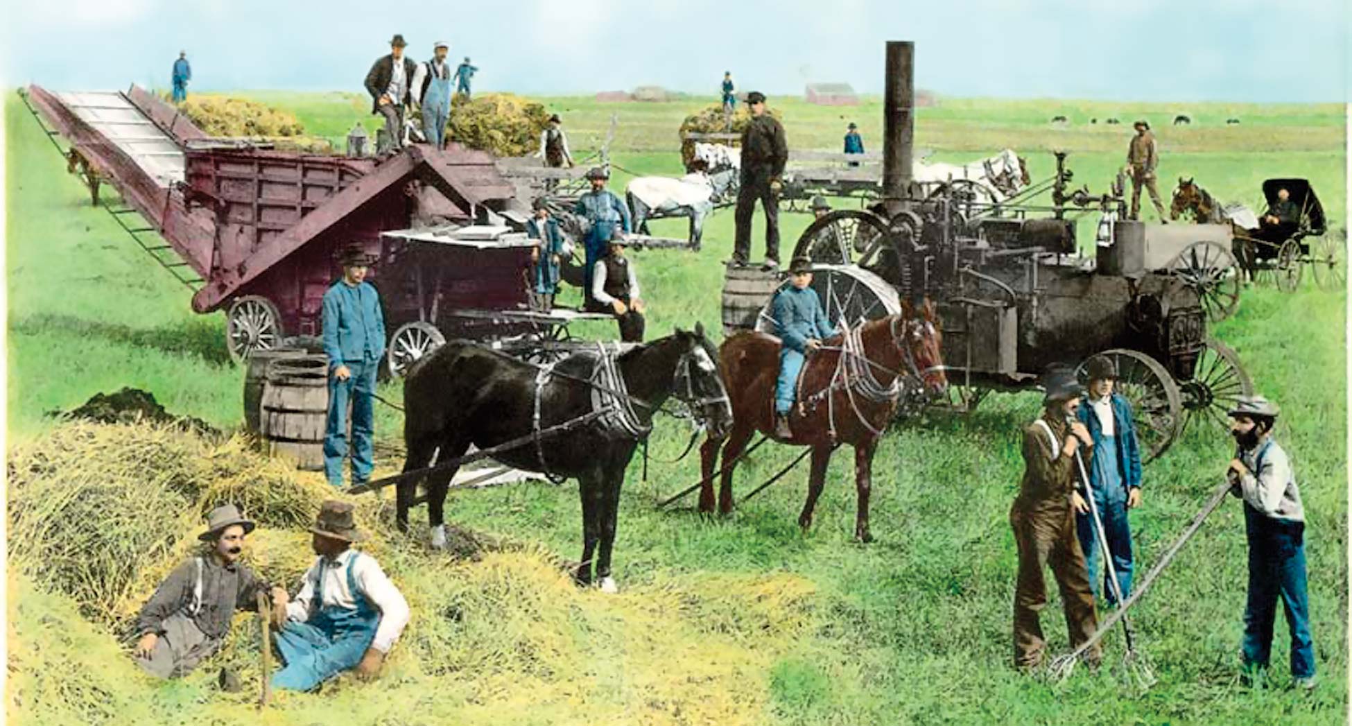 Threshing grain