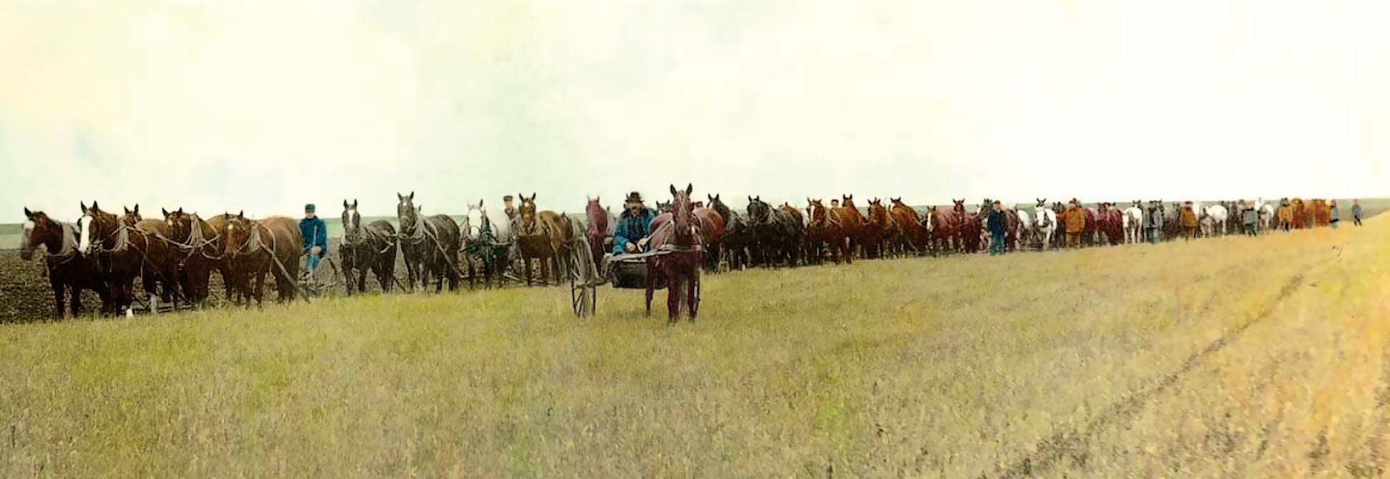 Plowing on the Kingman Bonanza Farm