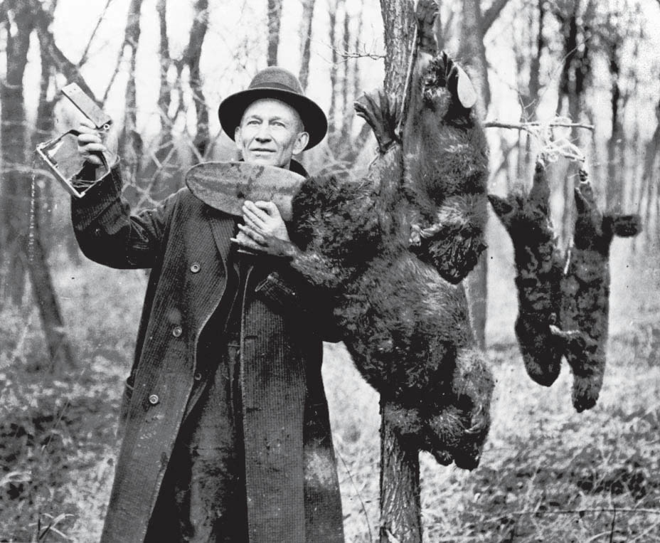 Trappers caught large numbers of beaver