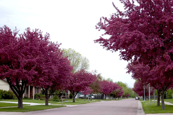 Spring in North Dakota