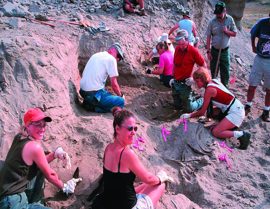 Triceratops dig site