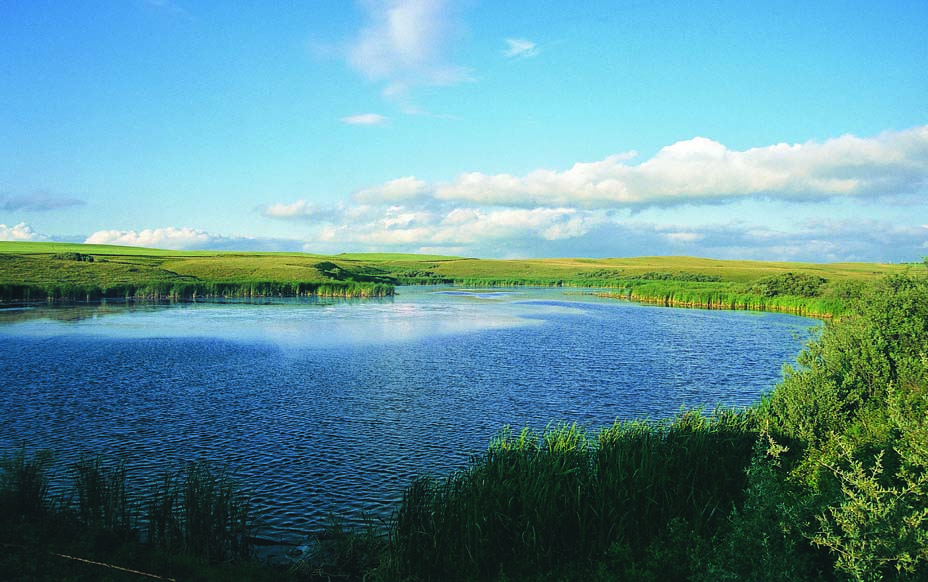 Prairie Potholes