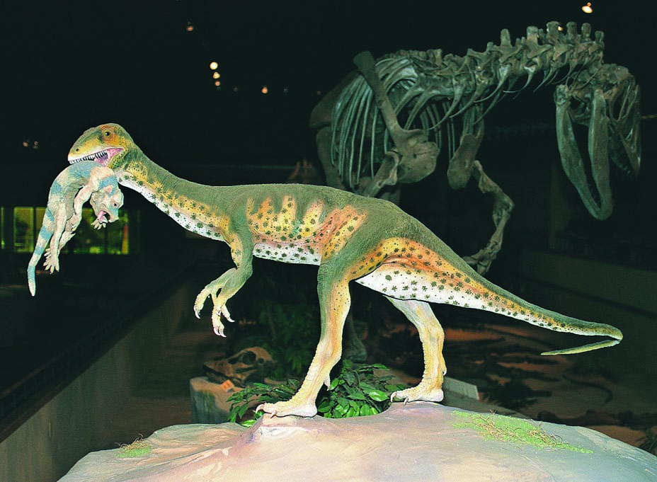 Dickinson Dinosaur Museum