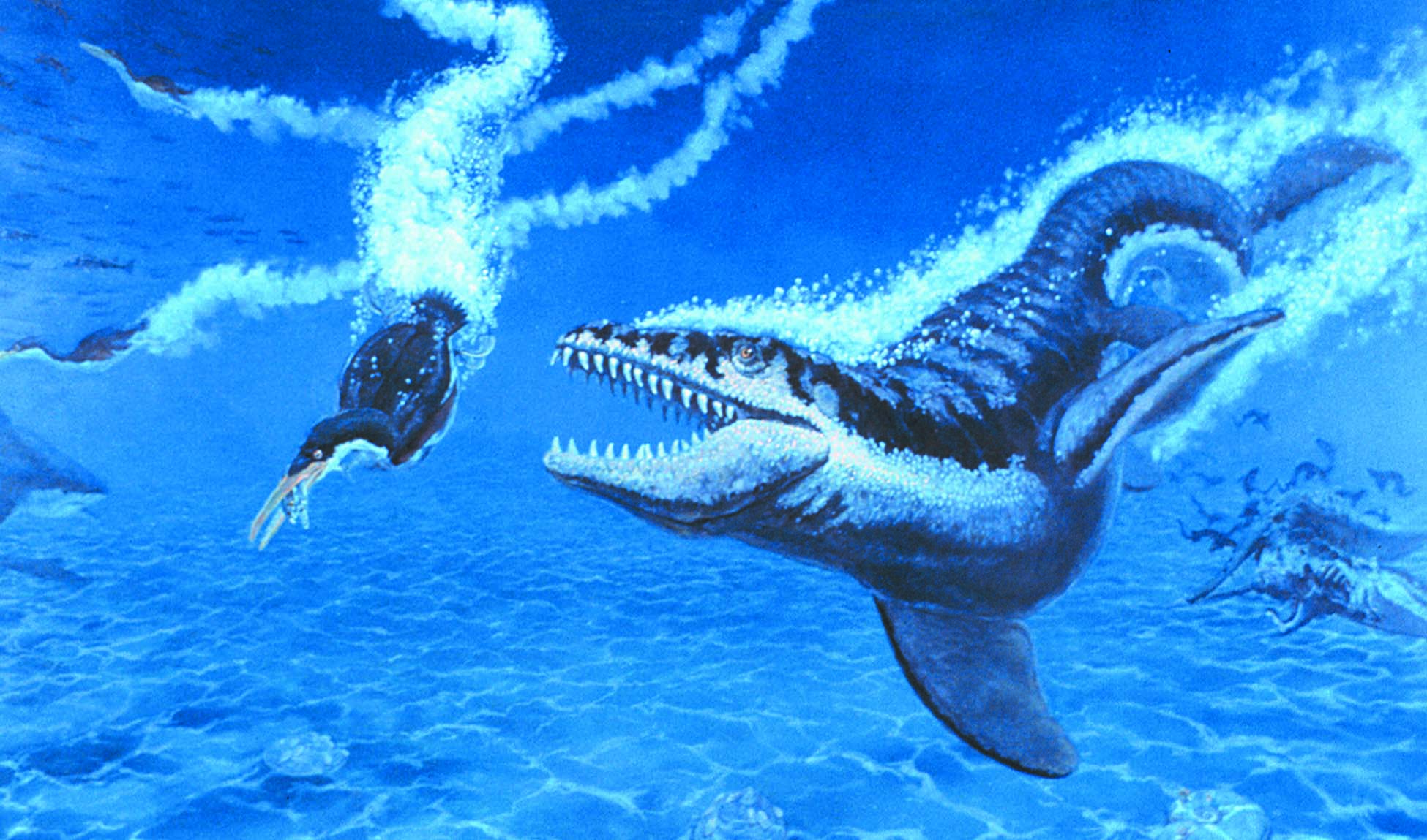 Mosasaur