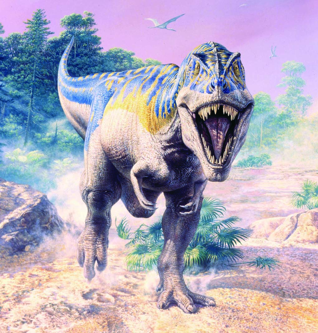 Dinosaur Triceratops Vs T Rex