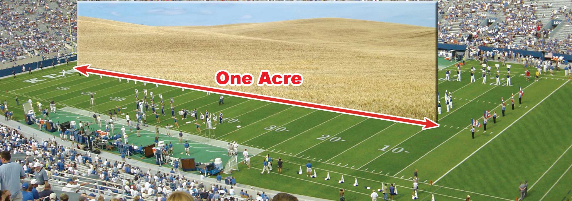 Figure 11. An acre