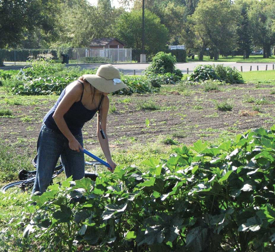 Figure 153. Community gardens