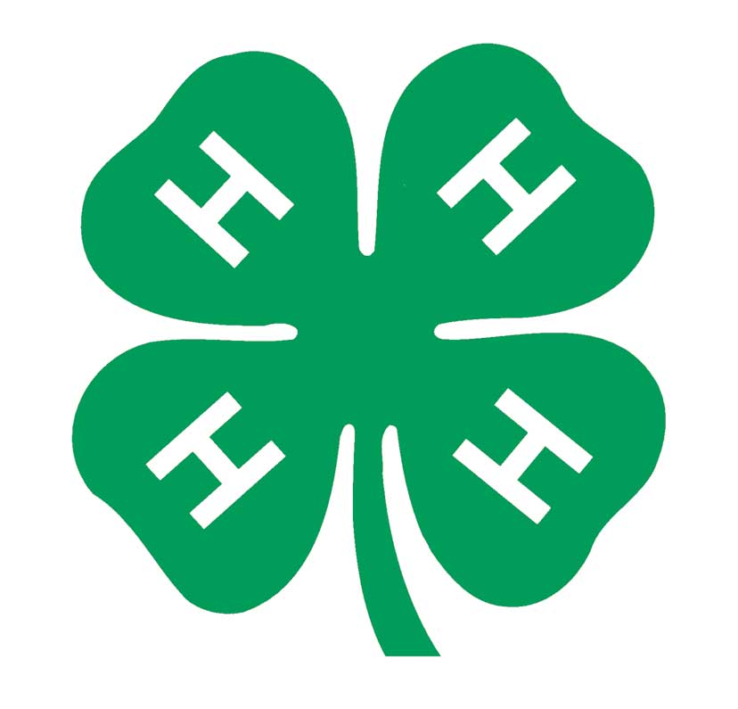 Figure 161. 4-H Logo