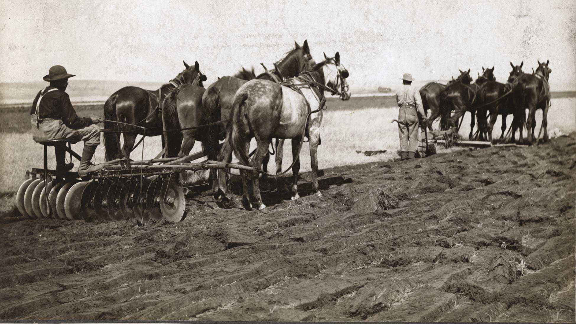 <strong> Figure 24.  Farmers plow and disk </strong> a section of prairie land. <em> (SHSND 0090-0003) </em>