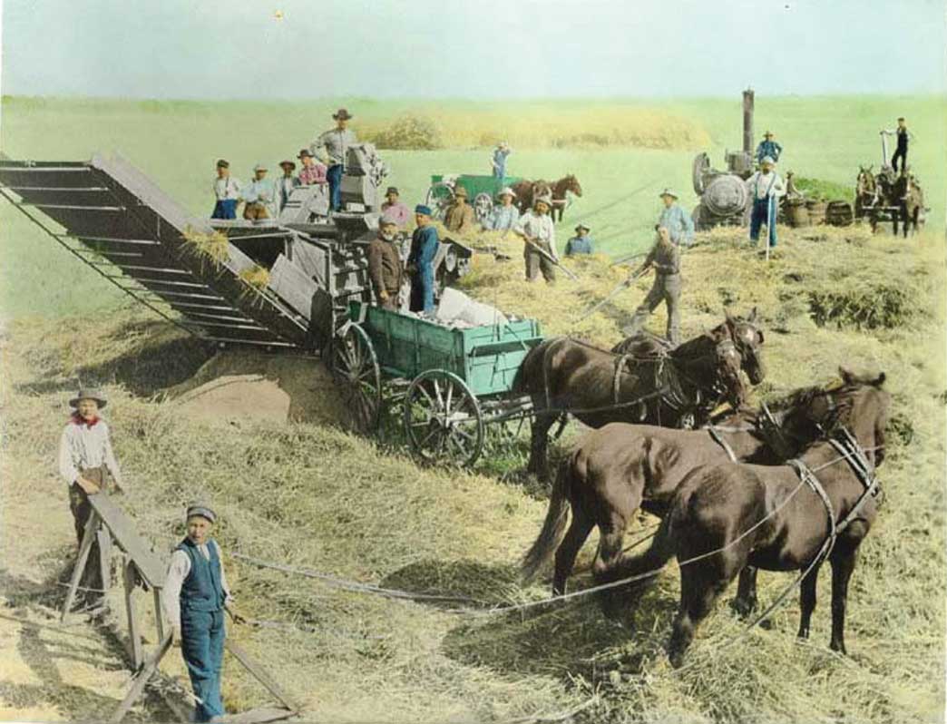 Figure 30. This threshing crew