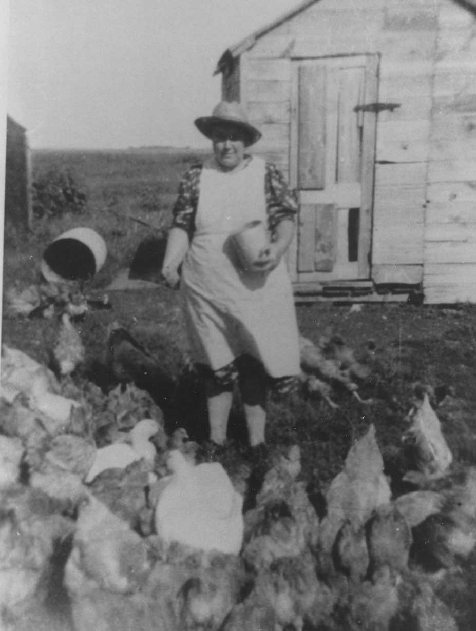 Figure 37. This woman tends to the farm chickens