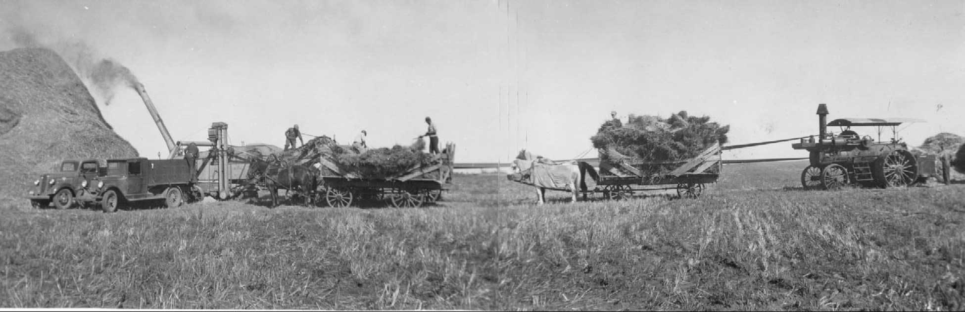 Figure 47. A threshing crew