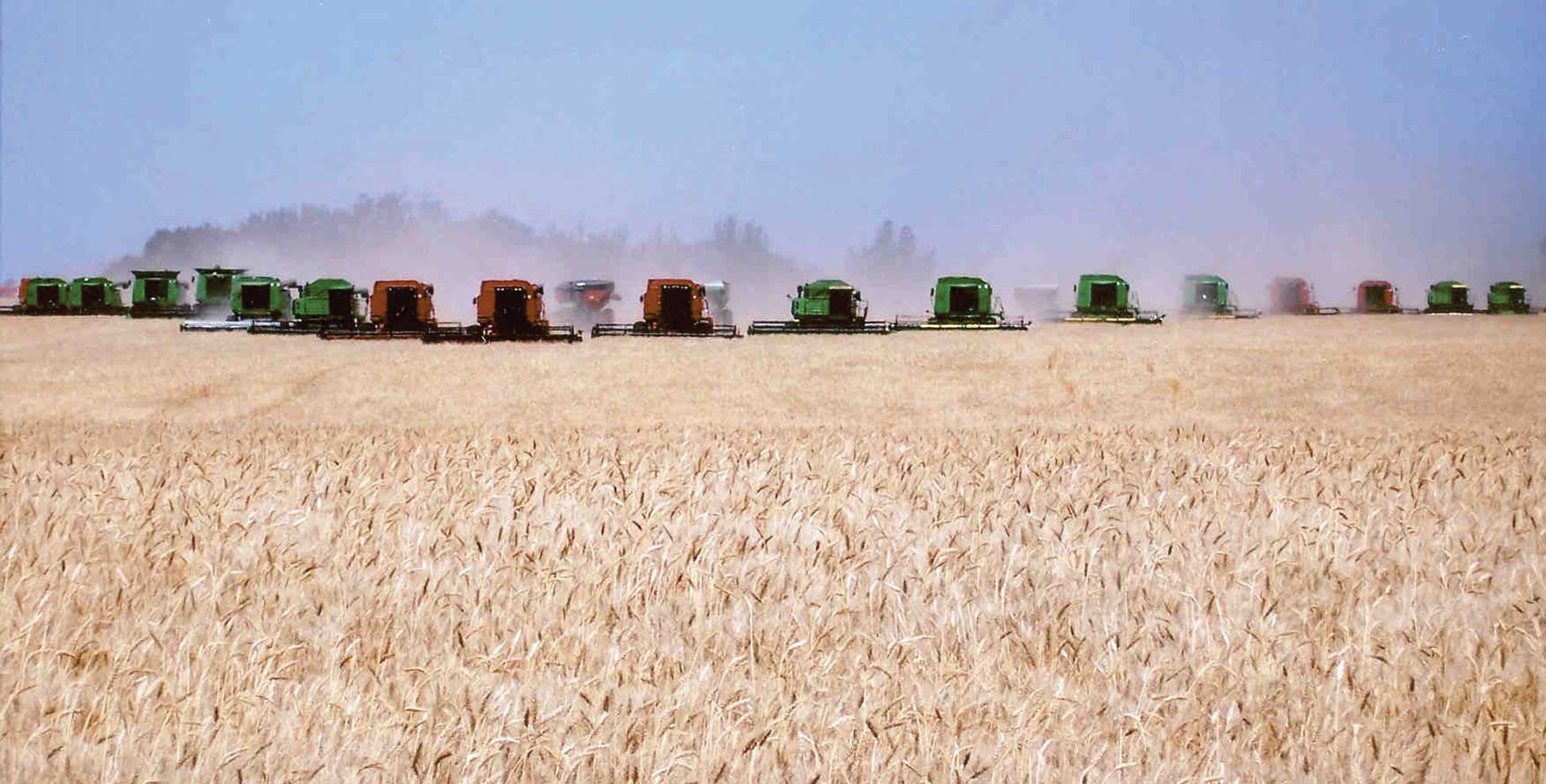 Figure 61. Wheat is “king” in North Dakota