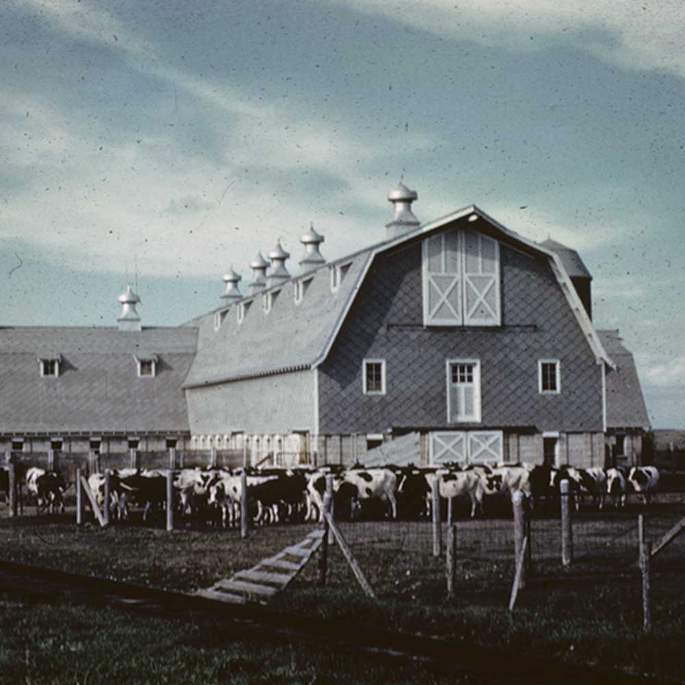 Picture of a barn