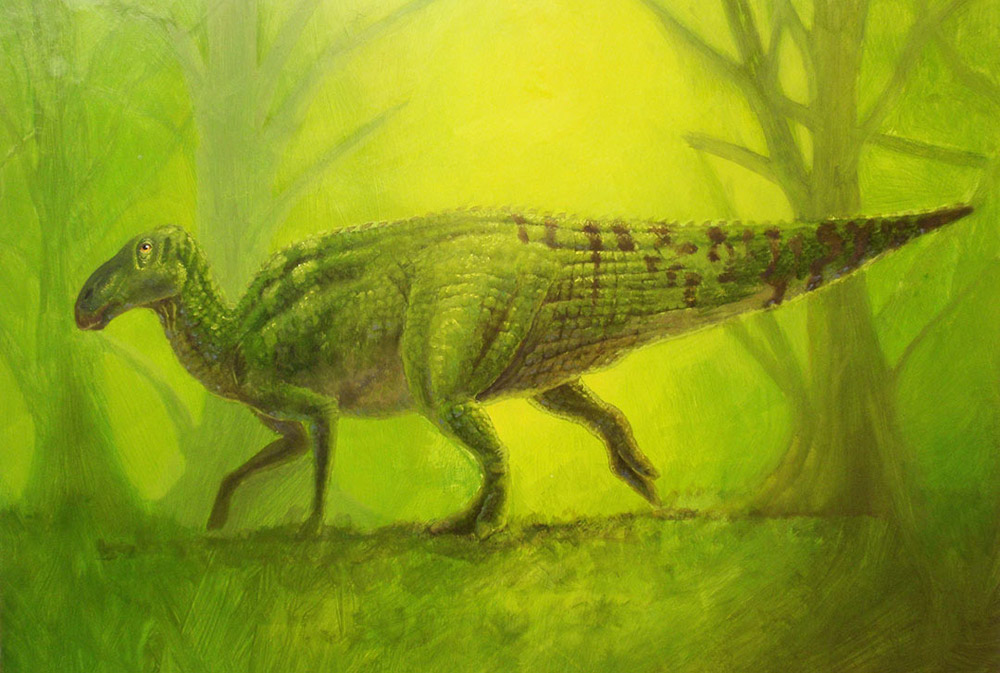 Barnes Edmontosaur