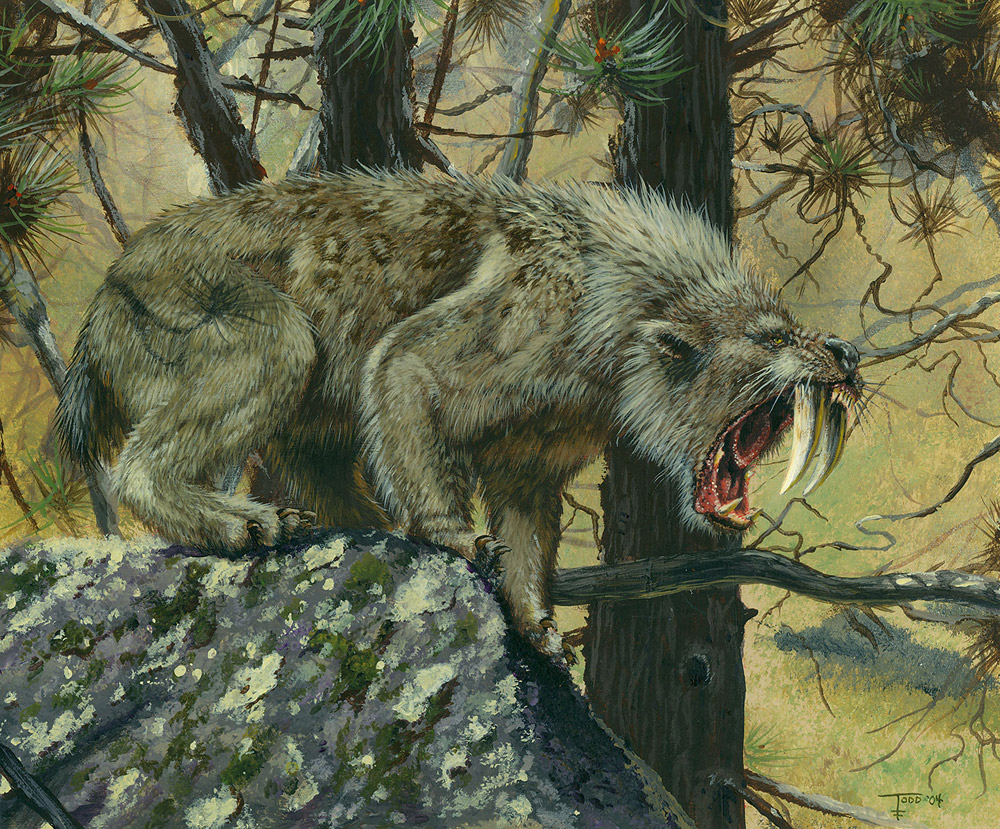 Marshall Smilodon