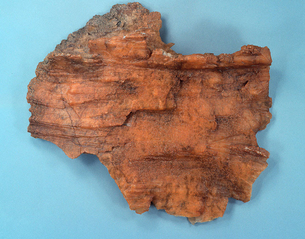 Fossil resin