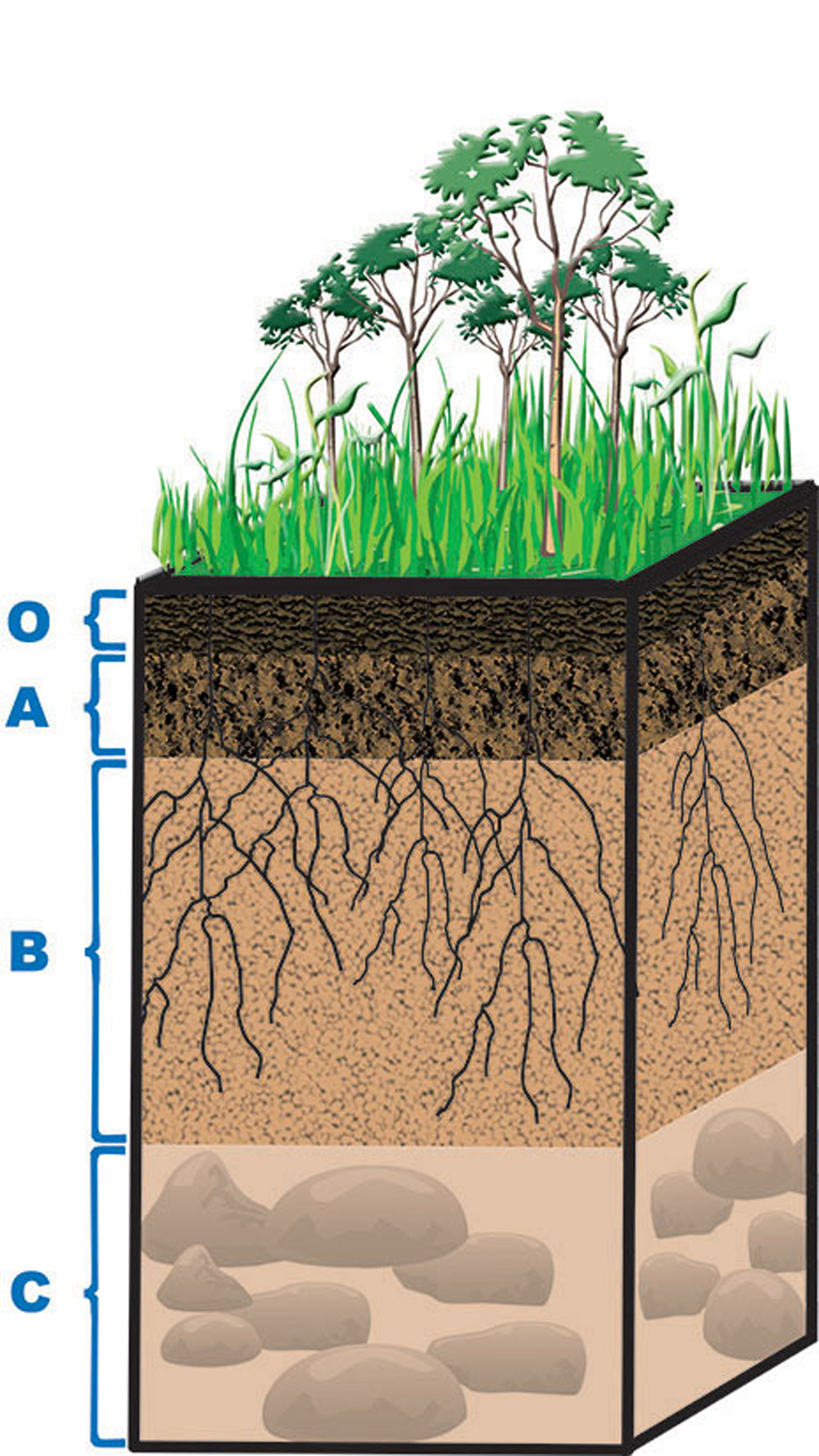 Soil Layers