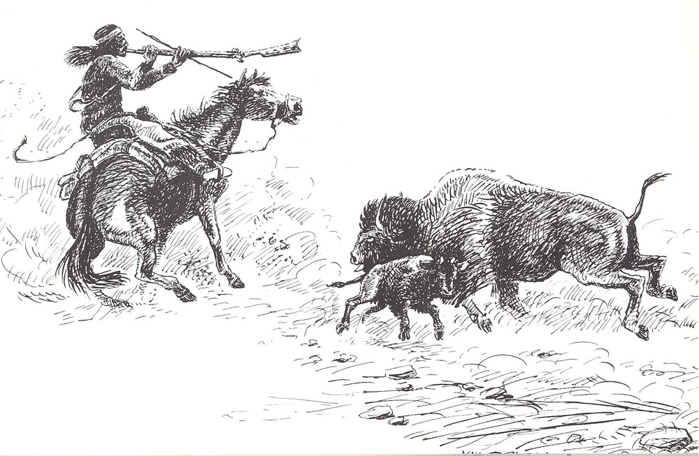Bison hunt 2