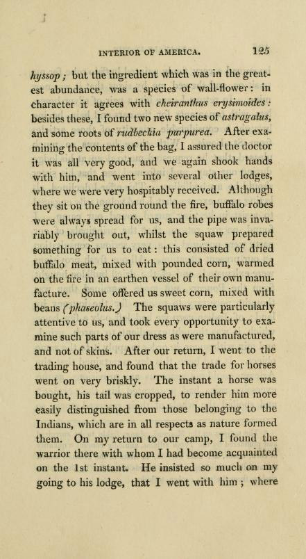 Bradbury Journal