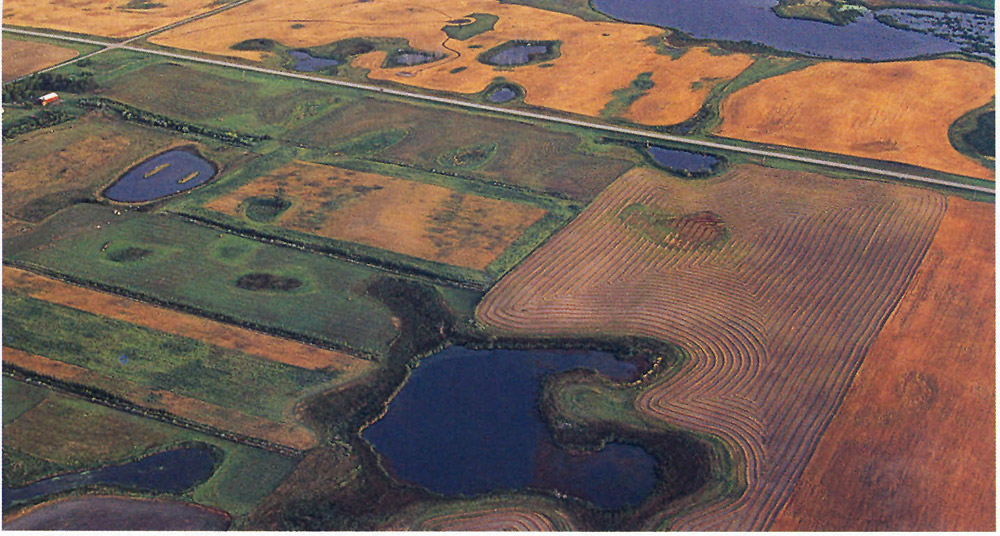 The “potholes” are small ponds