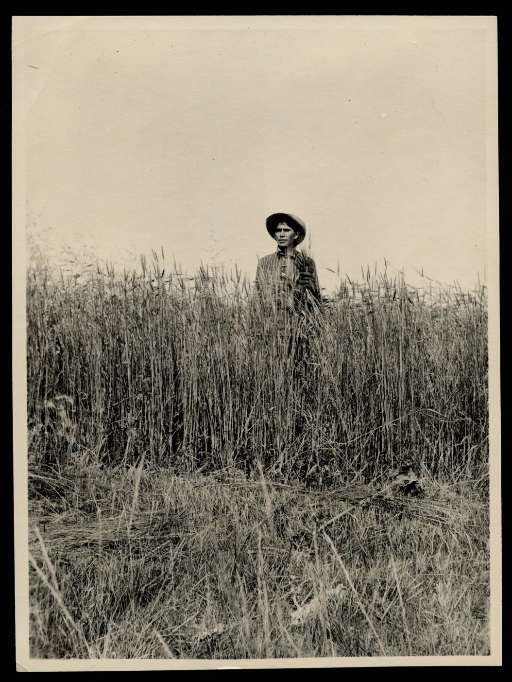 James Holding Eagle Mandan in his wheat field