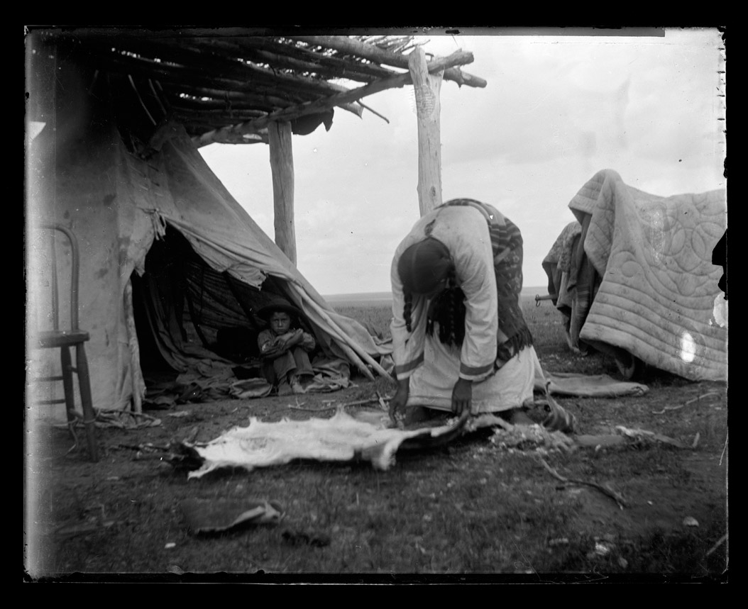 In this photograph Birds Bill’s wife (name unknown) demonstrates her technique for preparing a deerhide for painting. It was probably Birds Bill’s who prepared the deer hide that Birds Bill painted (Image 12). SHSND 0270-071