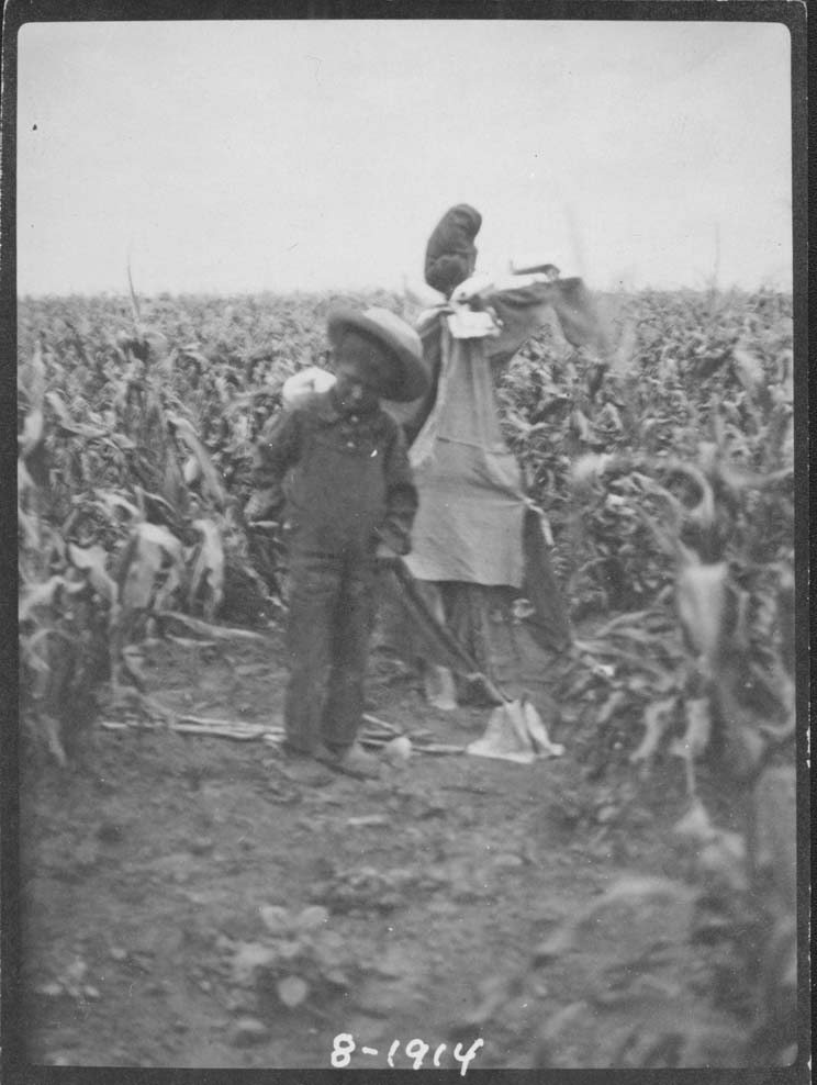 A little Hidatsa boy building a scarecrow in the corn patch