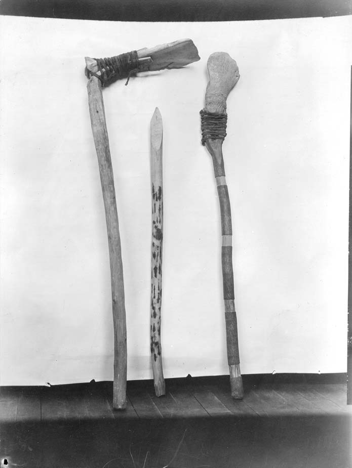 Buffalo shoulder blade hoe, digging stick, and buffalo skull spade