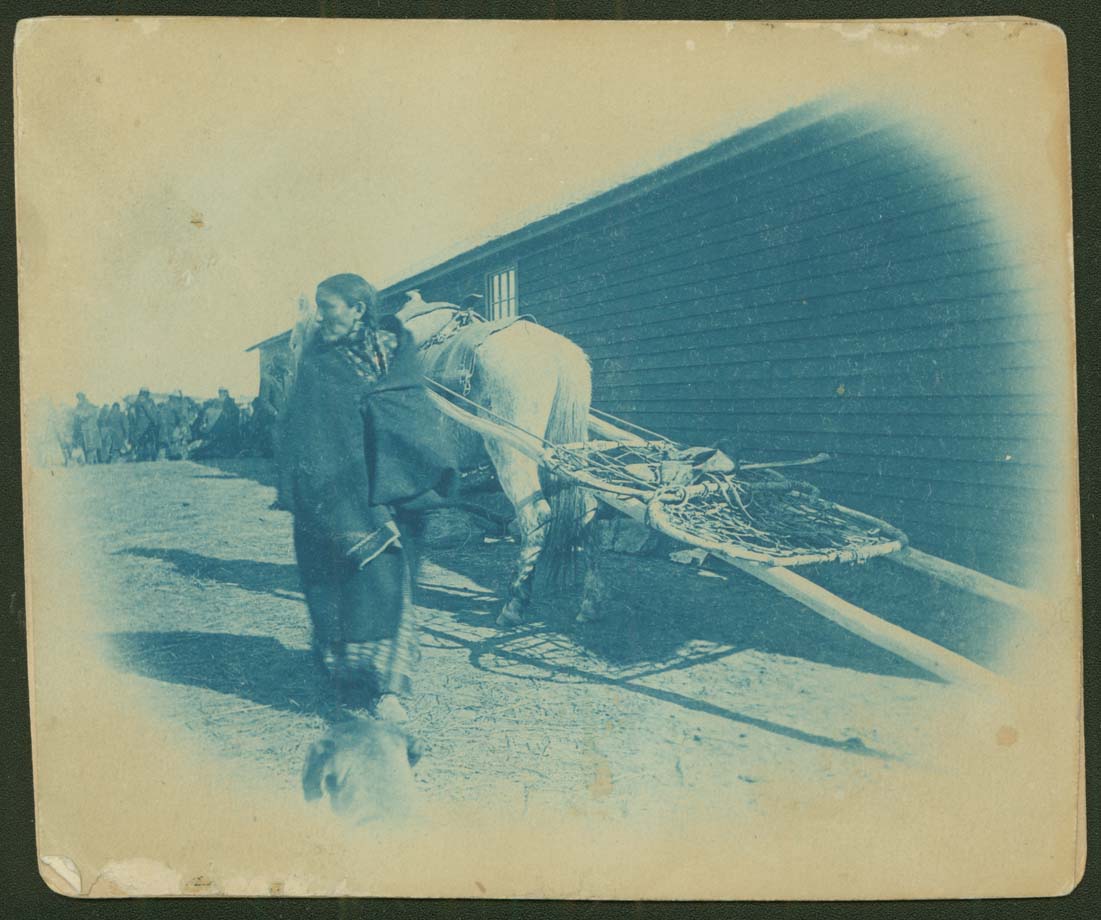 Mrs. Charging Thunder and horse travois at Standing Rock Agency, Fort Yates