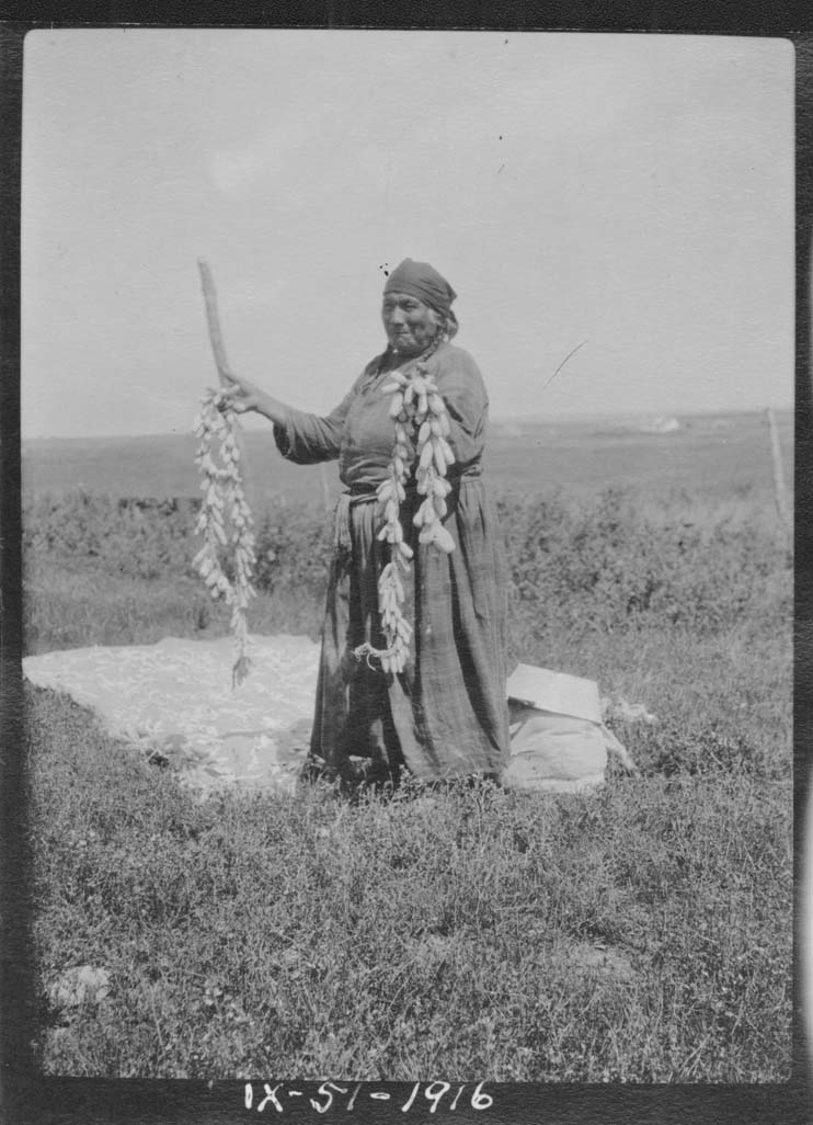 Owl Woman shows off her strings of prairie turnips.