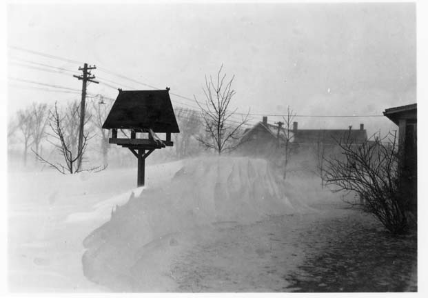 Snowbank birdfeeder, Fort Lincoln