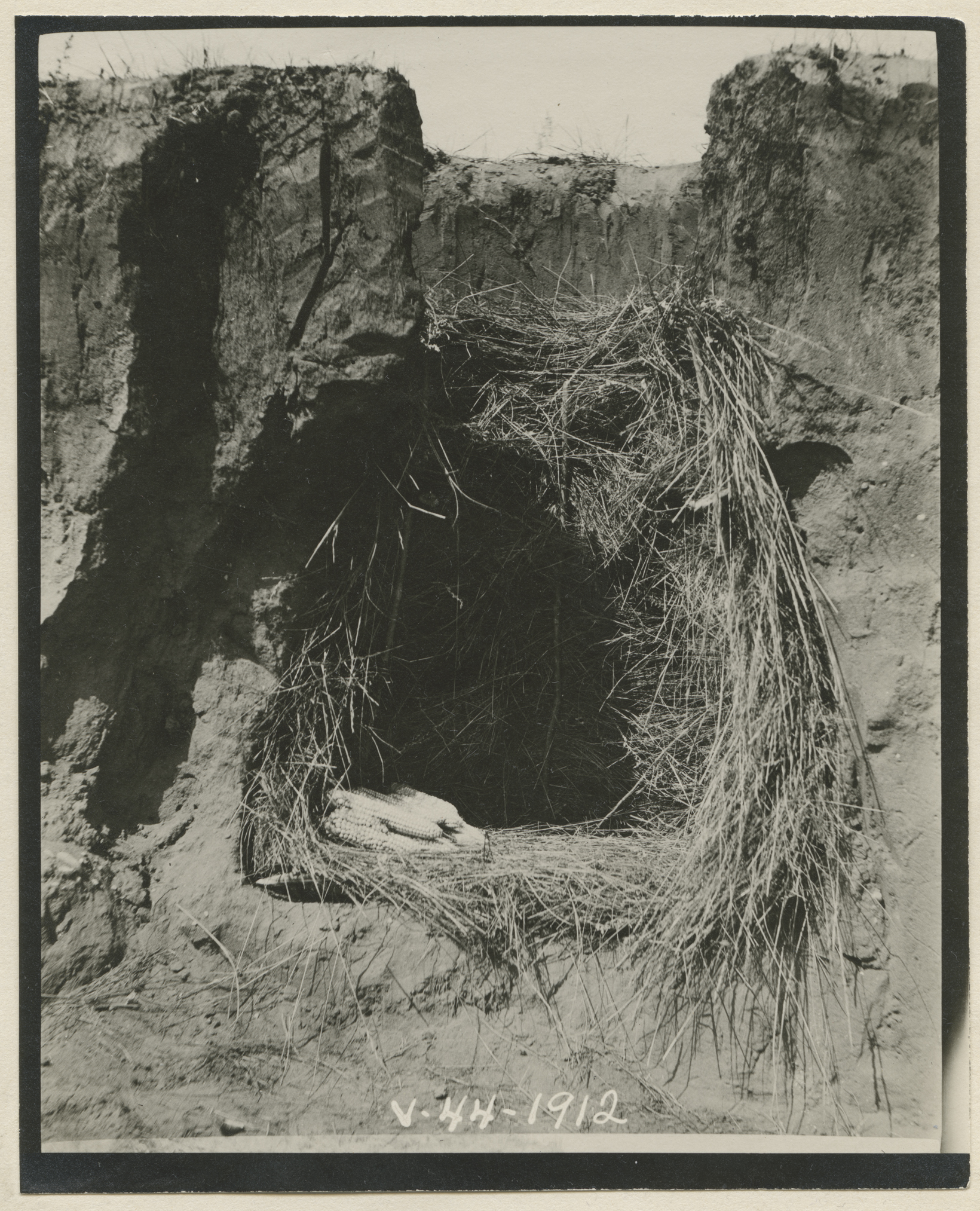 The model of cache pit shown in vertical section, made by Buffalo Bird Woman in a bank on the Missouri River.