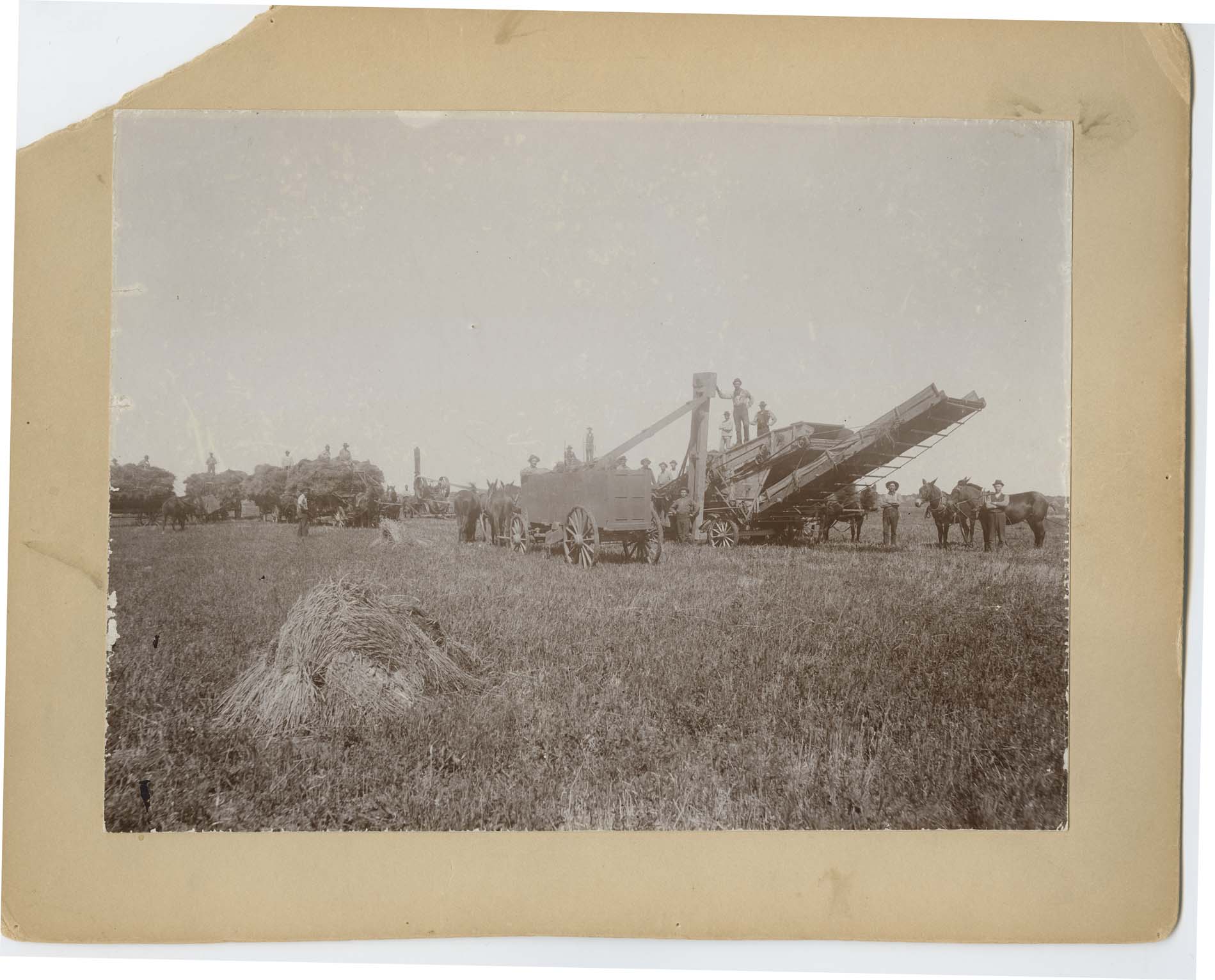 Threshing scene on the Dwight farm, Wahpeton ND