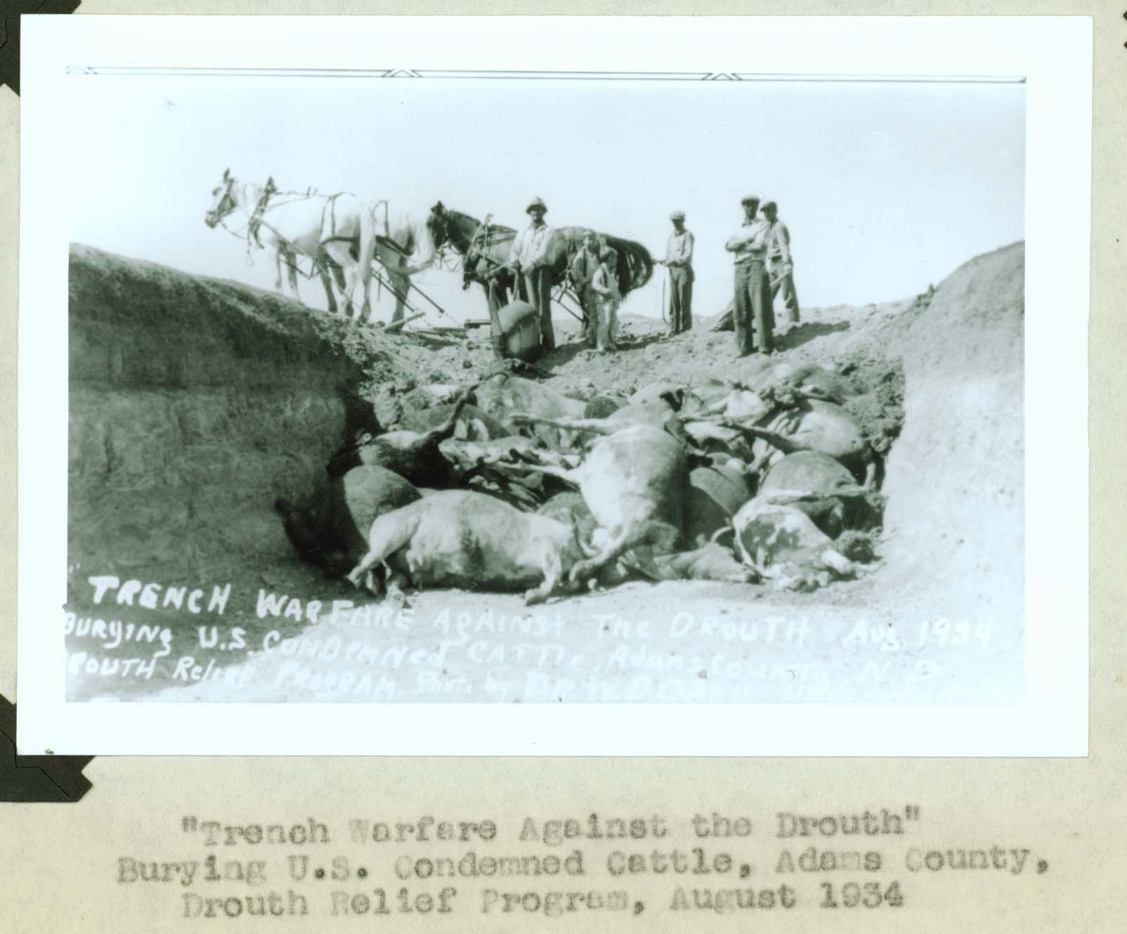 Trench warfare against the drouth, Adams County