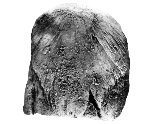 freda meteorite