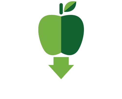 gravity icon as an apple falling
