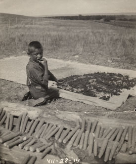 A Boy Drying Corn