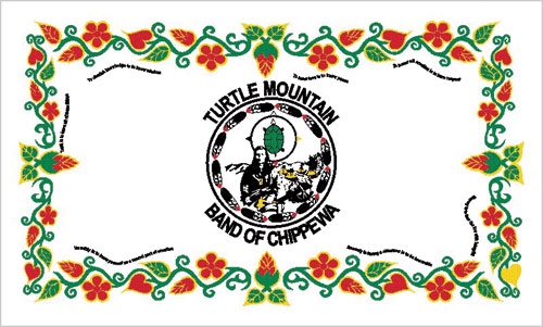 Turtle Mountain Logo