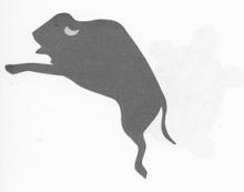 Bison Pictograph