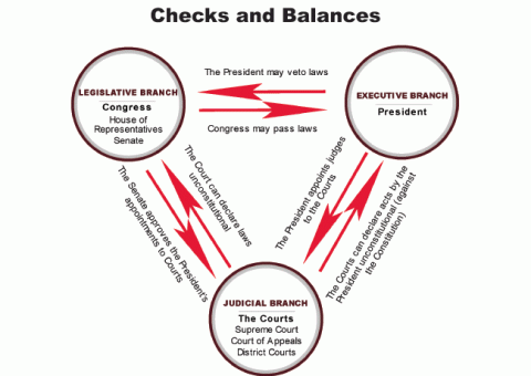 Executive Branch Flow Chart