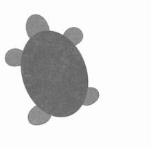 Turtle Pictograph